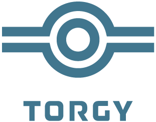 Pipe Support Verification torgy logo